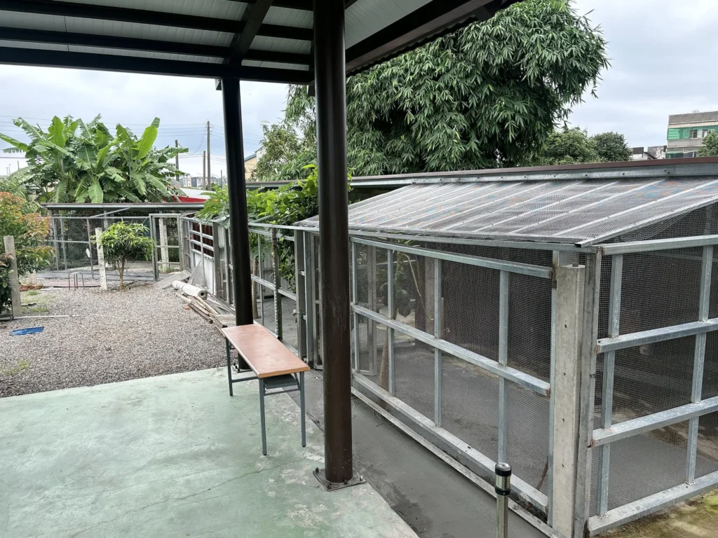 宜蘭民宿包棟推薦-大衛營會館、宜蘭住宿推薦、宜蘭親子民宿、宜蘭採果體驗-2406精彩照片-12